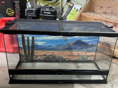 Zoomed terrarium