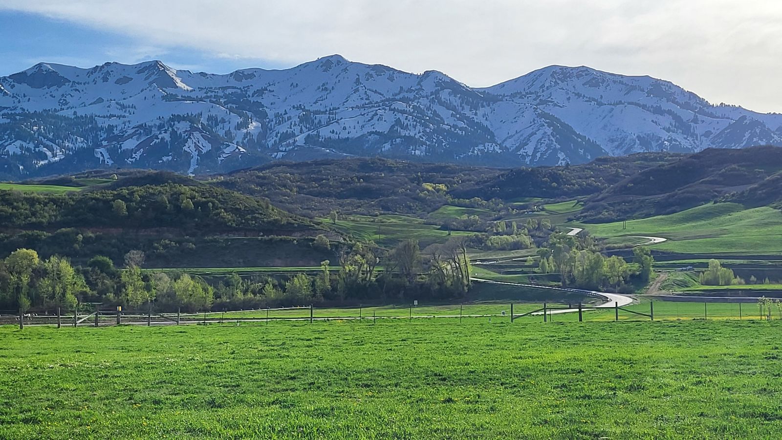 Multi-Family Garage Sale