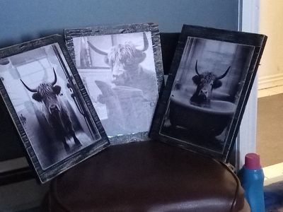 Whimsical Highland Cow Prints - Set of 3 Black & White Framed Art, Rustic Decor