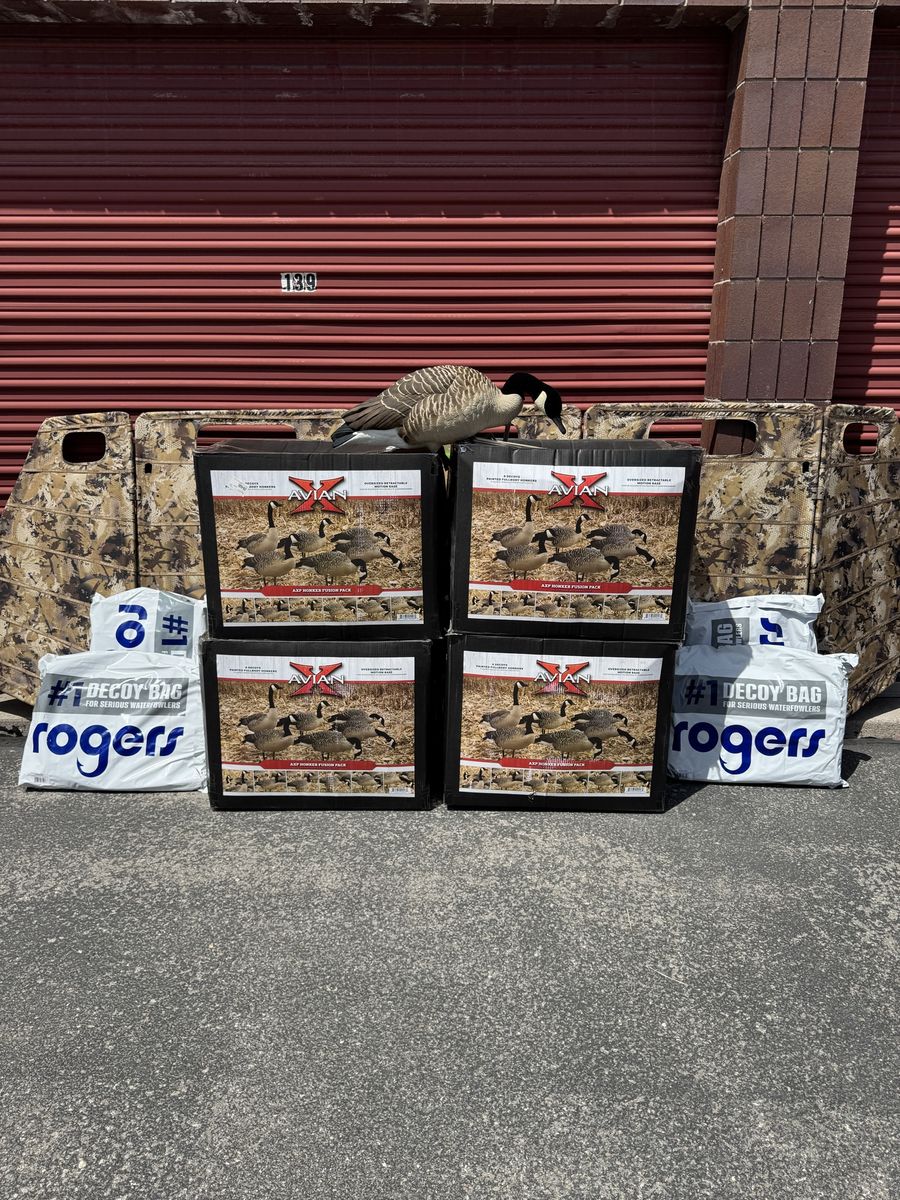 Avian-X Goose Decoys