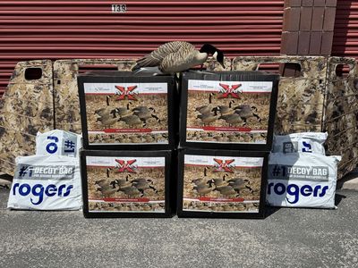 Avian-X Goose Decoys