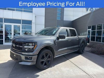 2025 Ford F-150 STX