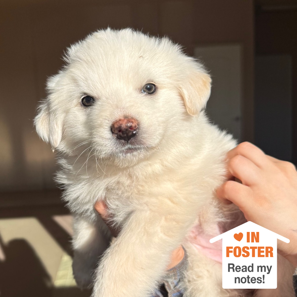 Hello my name is Wonton