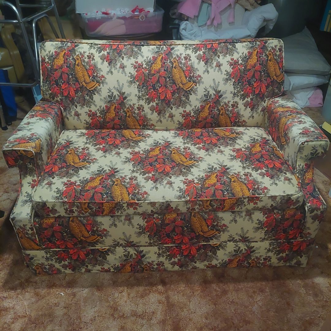2 Hide-a-bed love seats couch sofa simmons