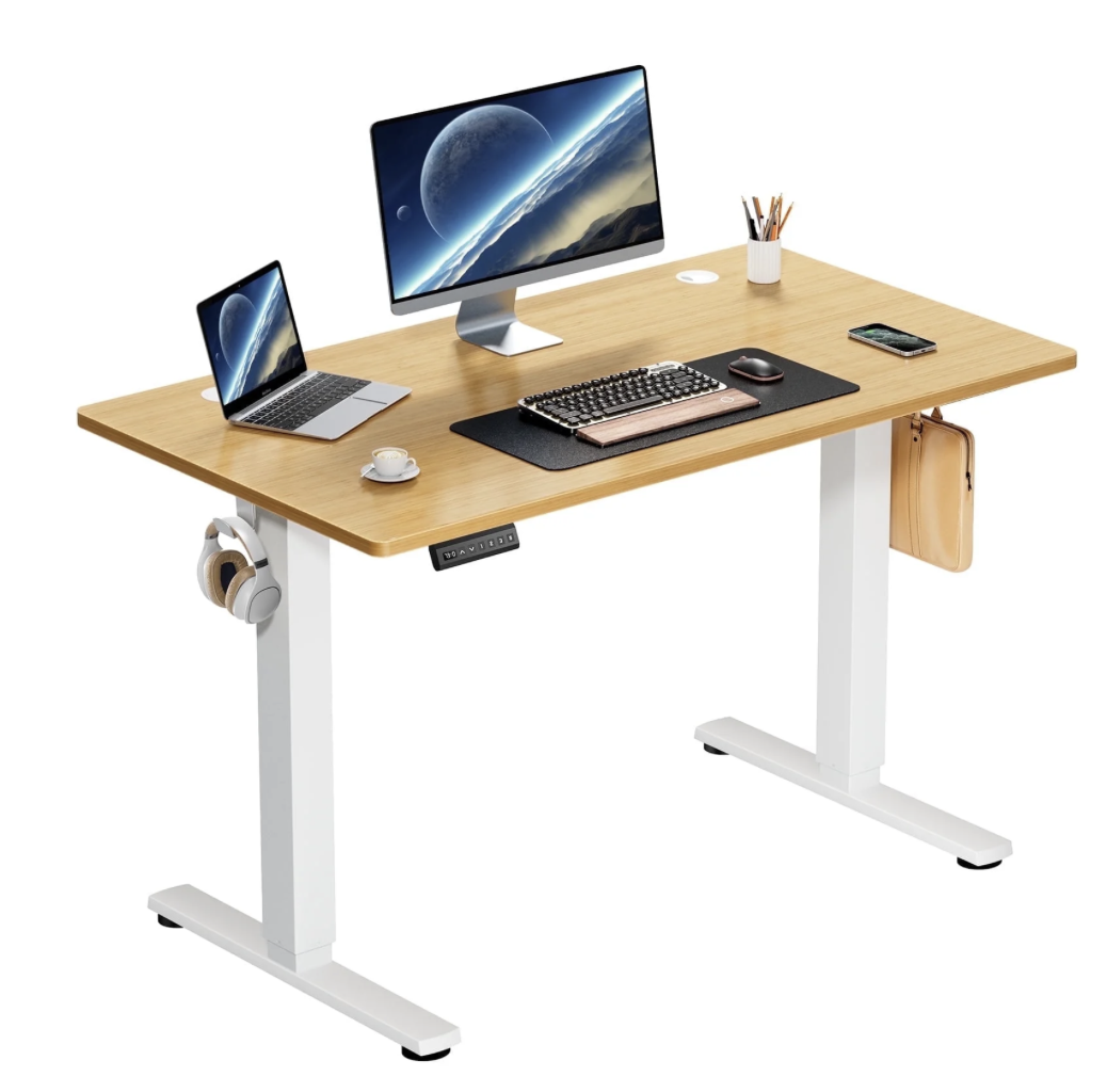 Electric Standing Desk, Height Adjustable Desk, 40" x 24"
