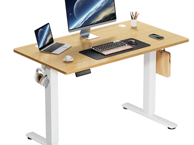 Electric Standing Desk, Height Adjustable Desk, 40" x 24"