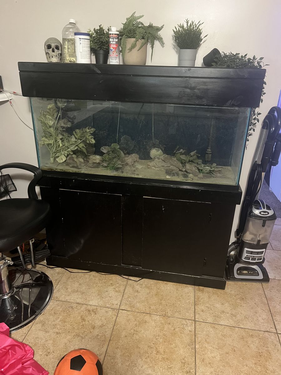 55 gallon fish tank with stand and top cover