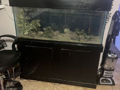 55 gallon fish tank with stand and top cover