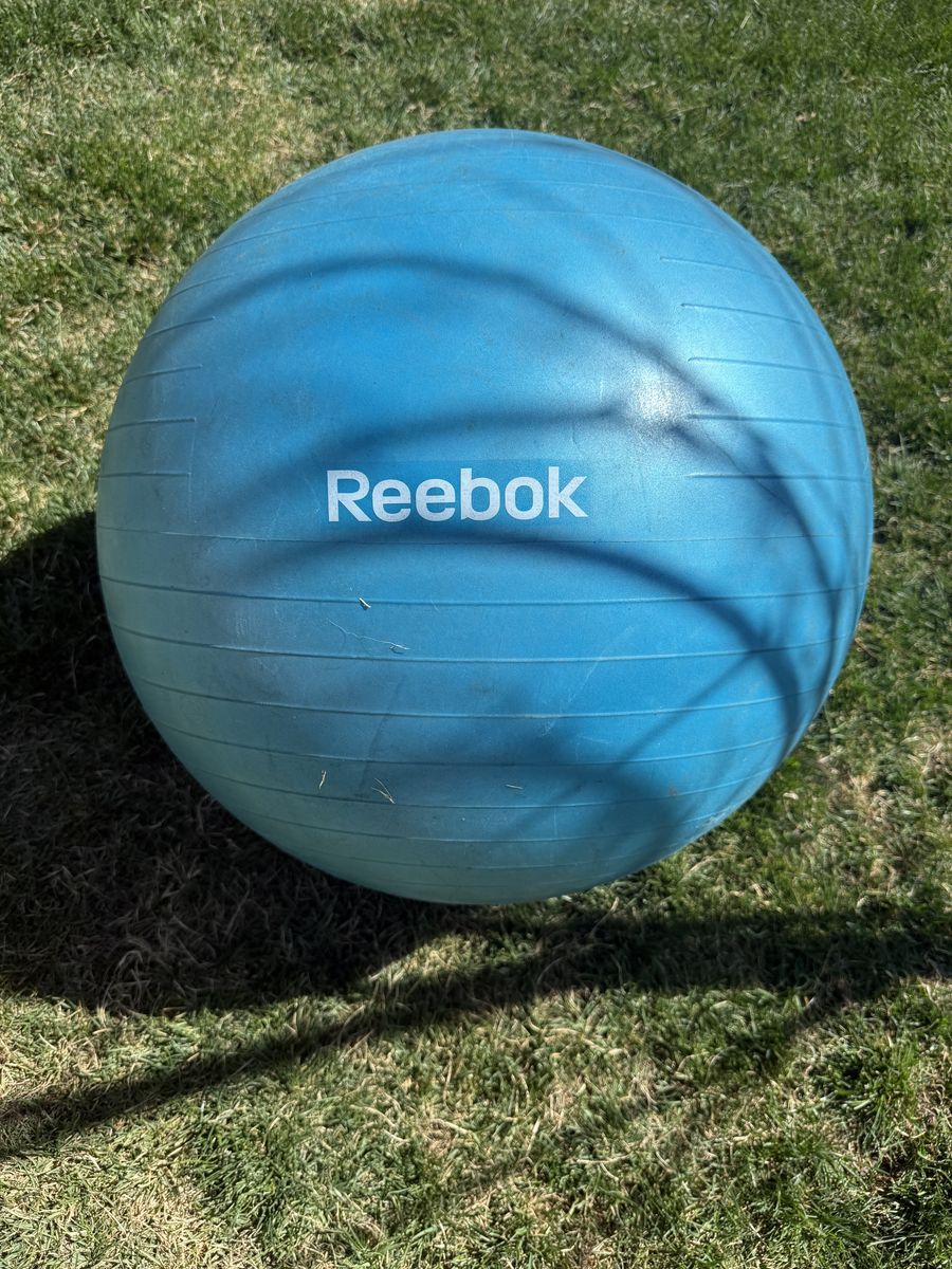 Reebok Exercise Ball