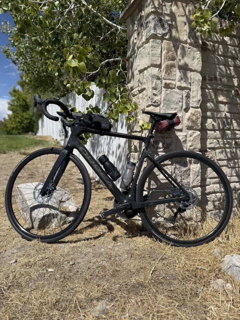 2022 orbea Orca 55 Size