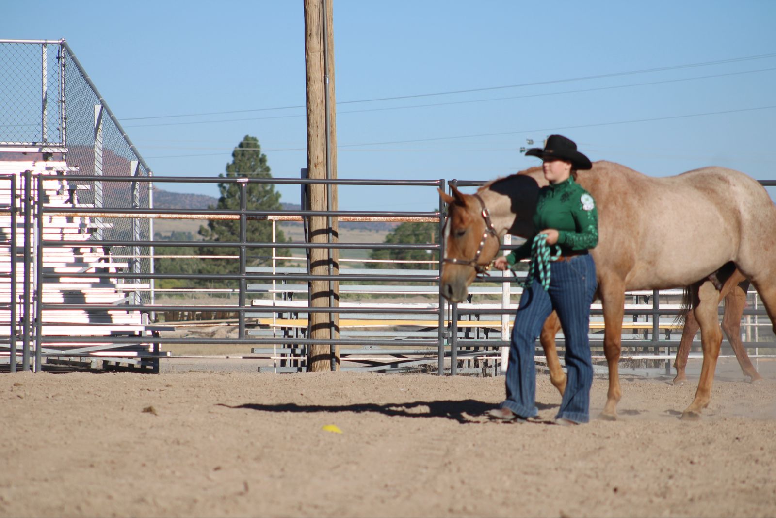 Horseback Riding Lessons