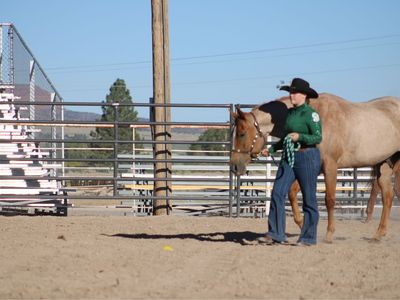 Horseback Riding Lessons