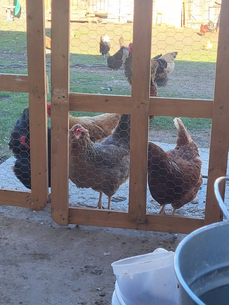 We Need some Land to Rent