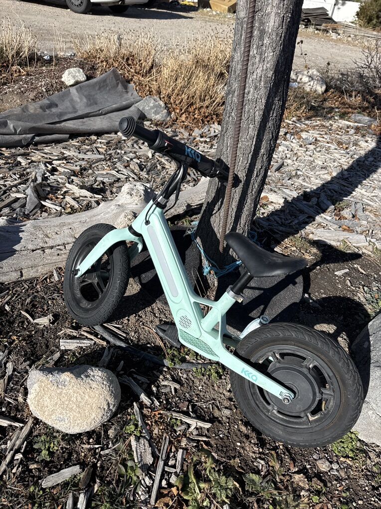 Toddler Balance Bike Elecctric