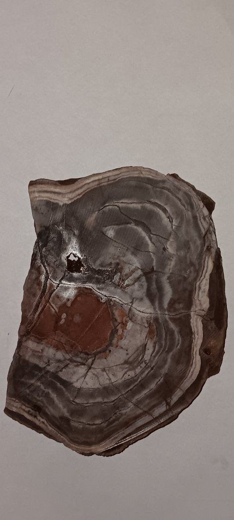Main image 16