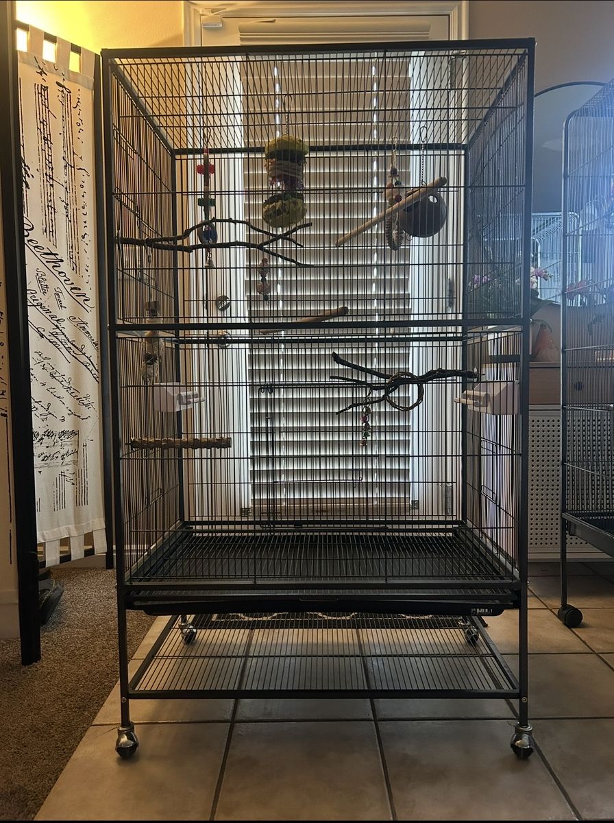 large bird cage