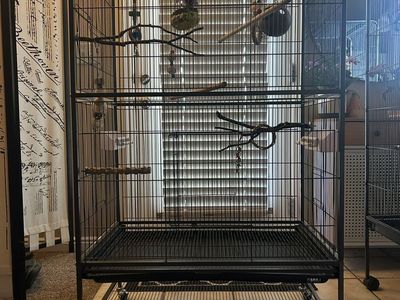 large bird cage