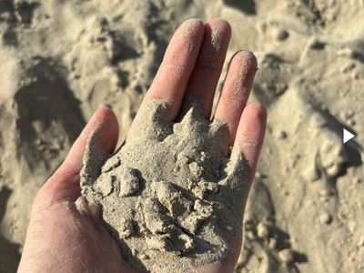 Play Sand / Sand Box Sand Delivered
