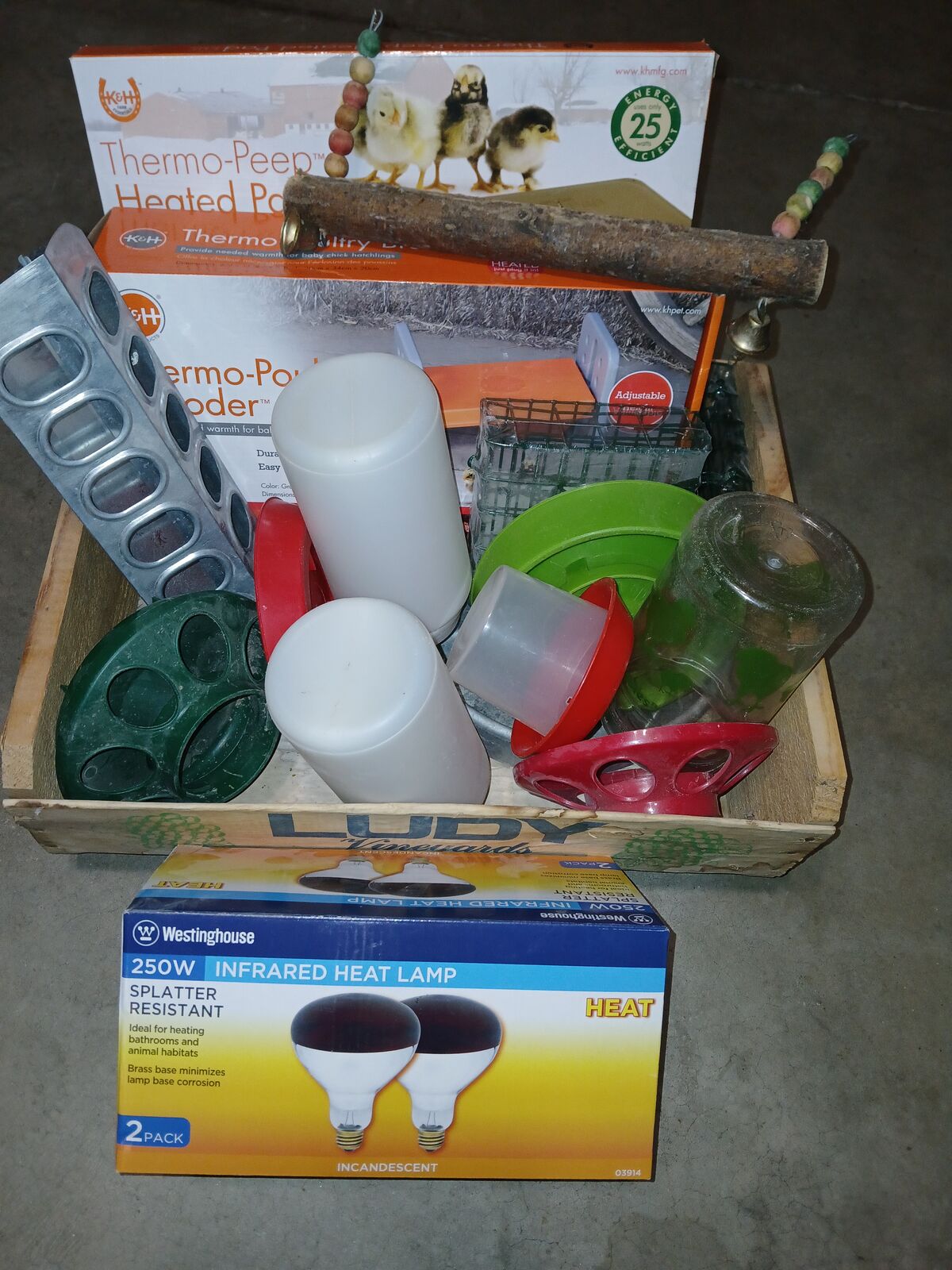 Raising Chicks Bundle