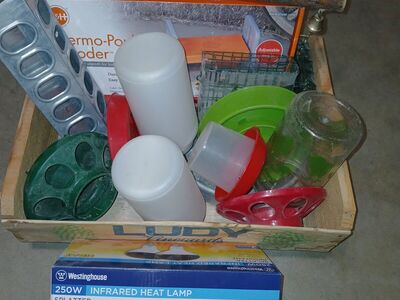 Raising Chicks Bundle