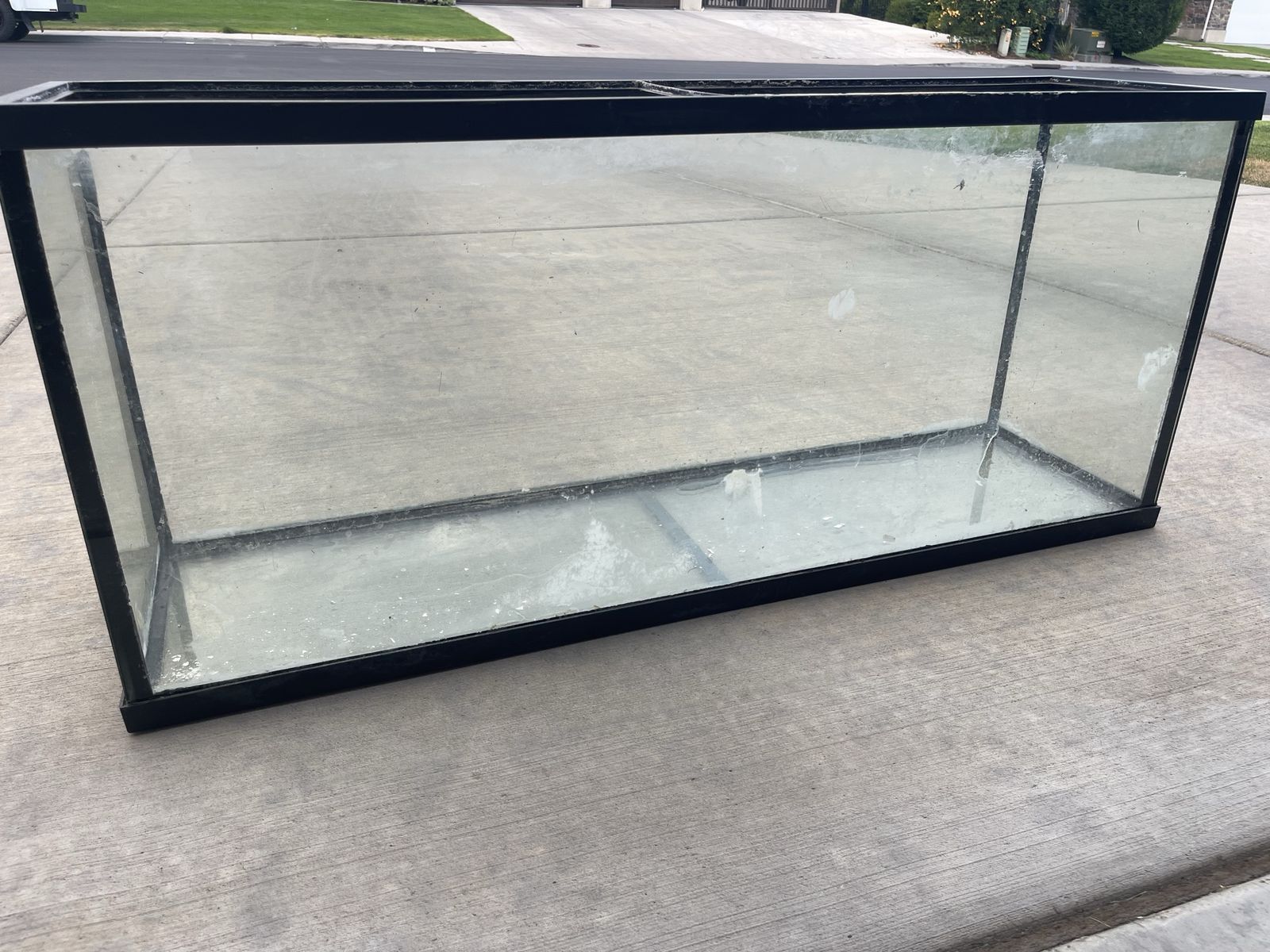 55 gallon tank