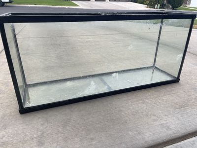 55 gallon tank