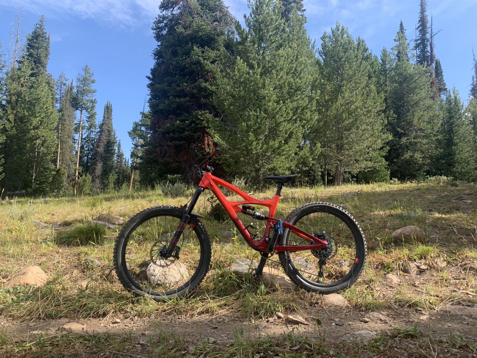 IBIS HD4 LARGE MOUNTAIN BIKE