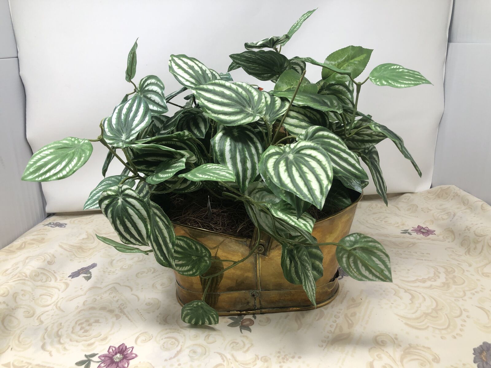 Silk Aluminum Plant in Brass Pot With Handle