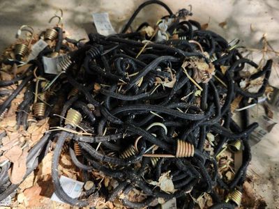 Budgee cords