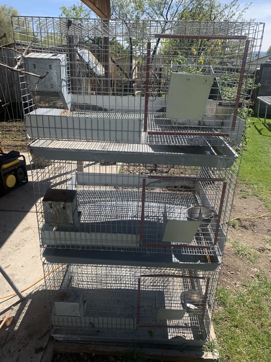 Rabbit hutches , rabbit cages