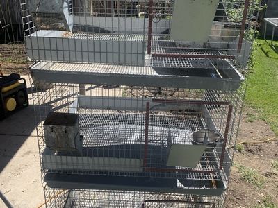 Rabbit hutches , rabbit cages