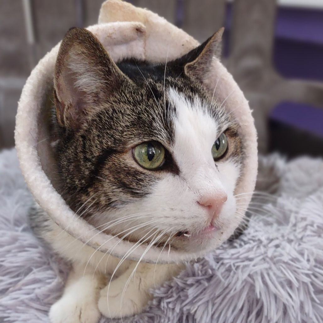 Hello my name is Marlton