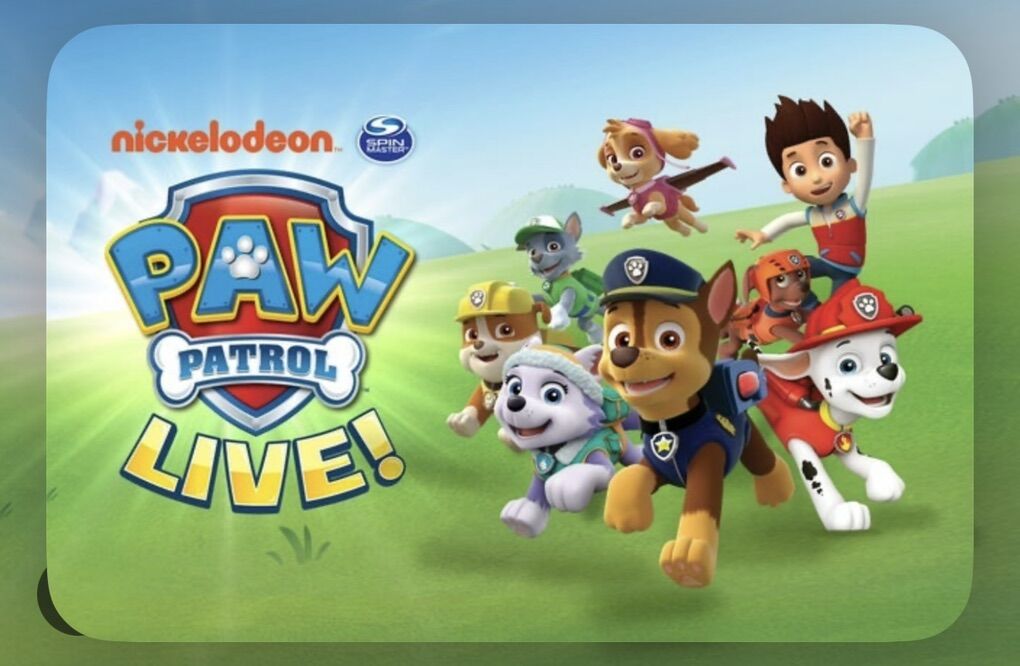 Paw Patrol LIVE-TODAY