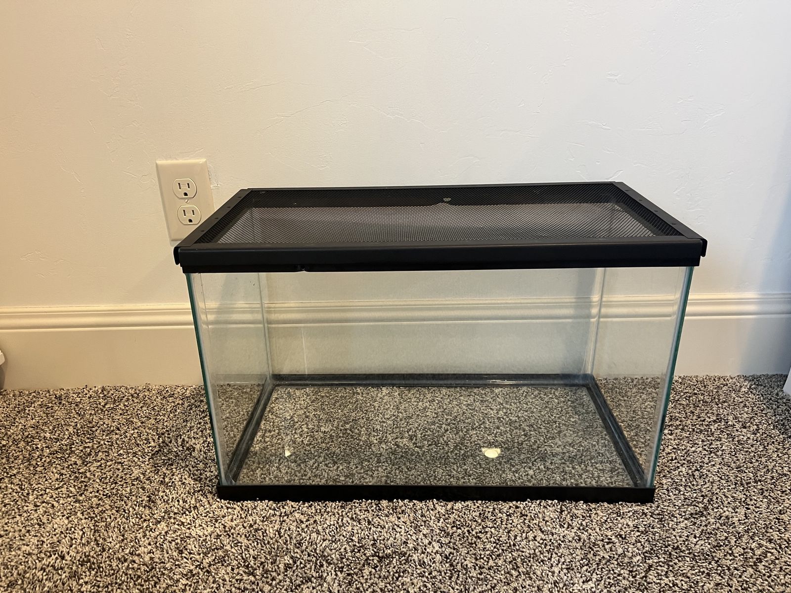 Main image 3