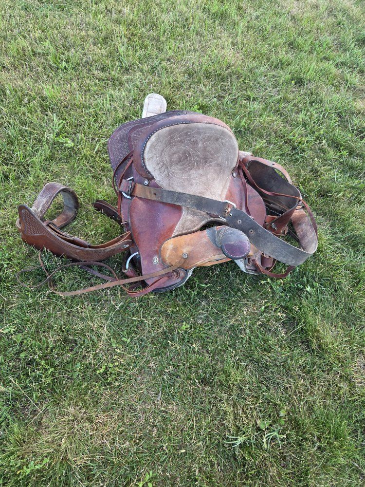 Saddle