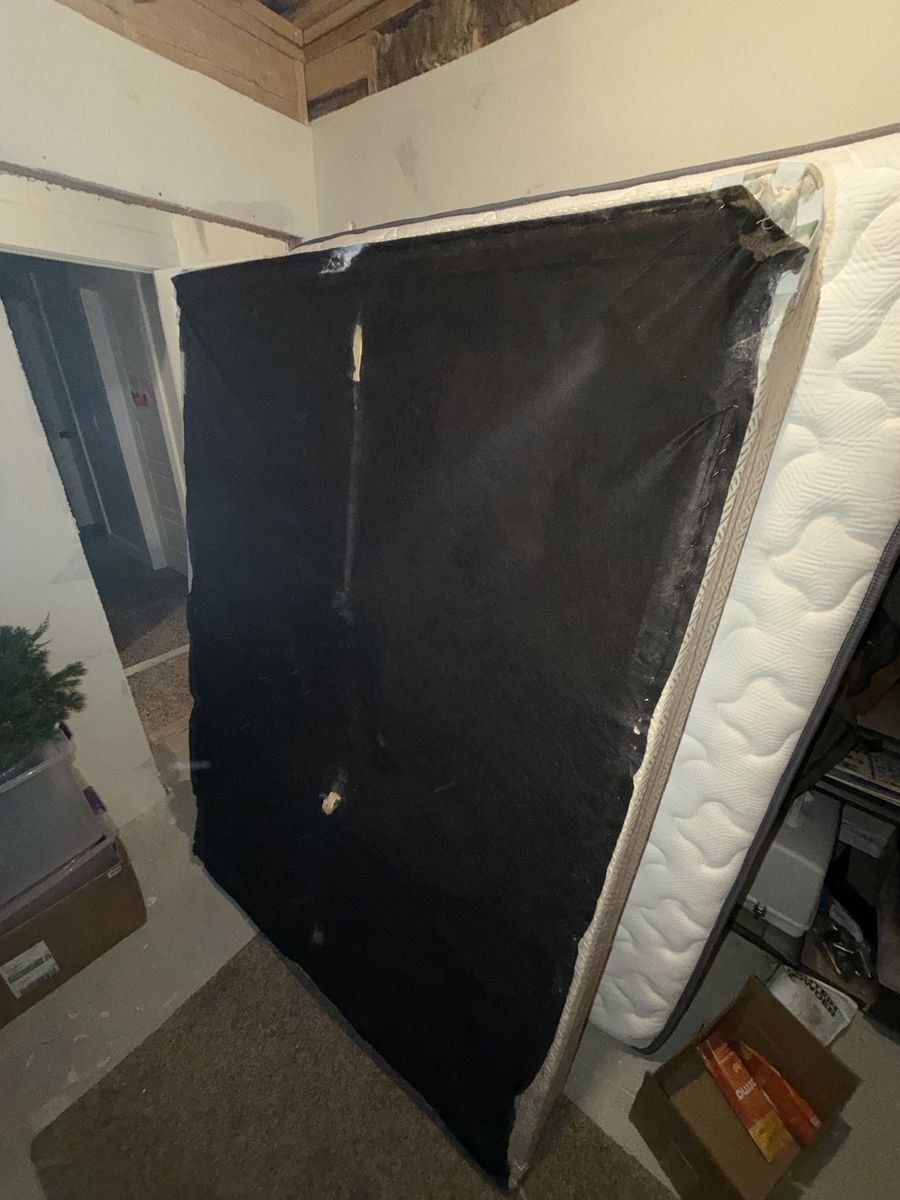 2 free box springs