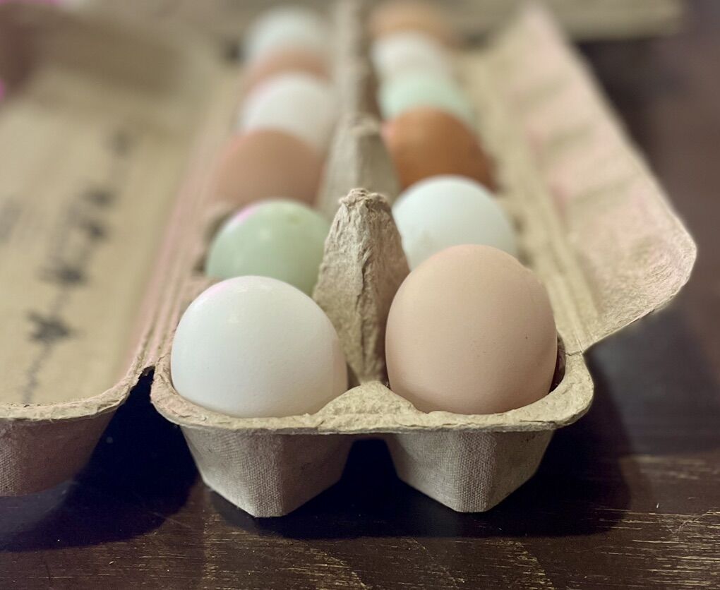 Farm Fresh Eggs