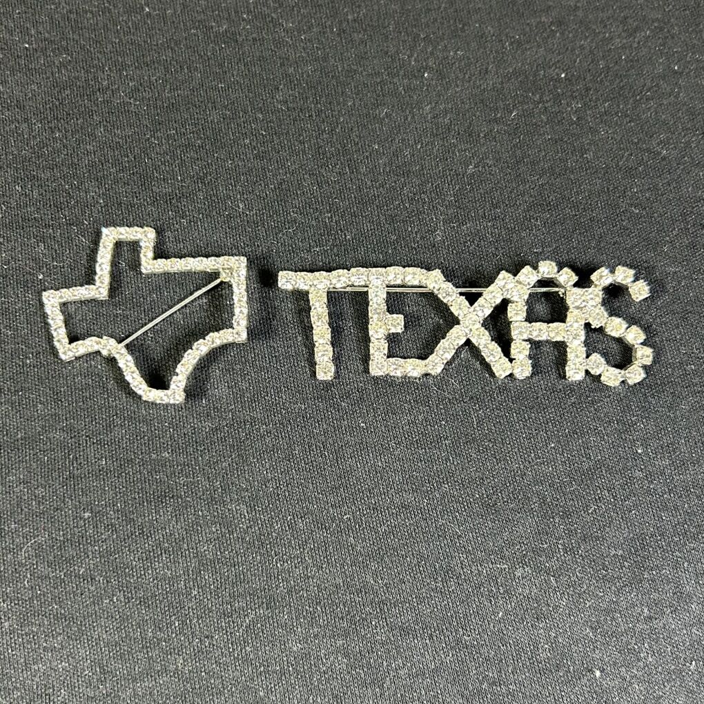 2 SHINY TEXAS Brooches/Pins-State Outline & Name