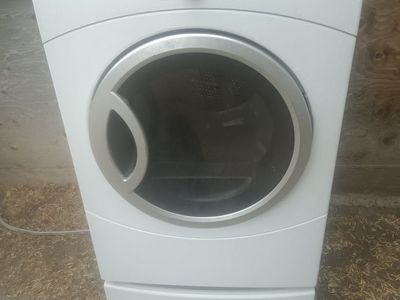 GE electric dryer