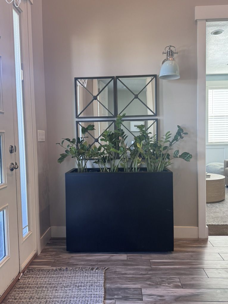 Large Black Metal Planter Box & Mirrors