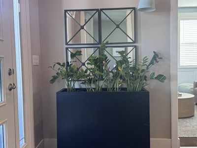 Large Black Metal Planter Box & Mirrors
