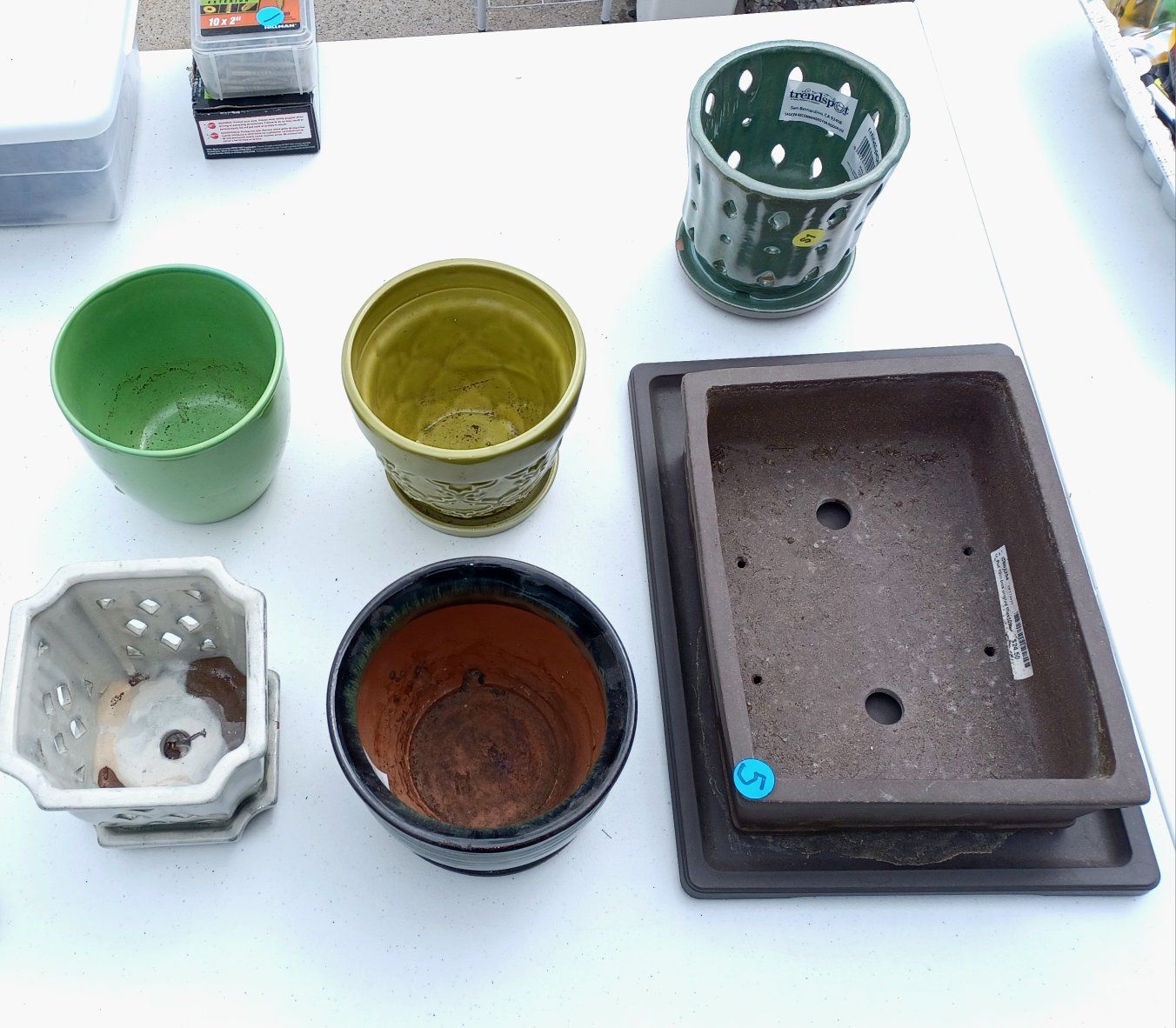 Assorted Ceramic Planters & Bonsai Pot - Trendspot Orchid, Mixed Sizes/Colors