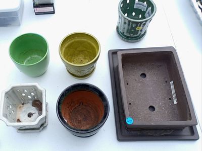 Assorted Ceramic Planters & Bonsai Pot - Trendspot Orchid, Mixed Sizes/Colors