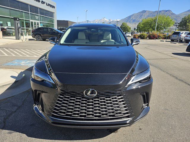 Main image 2