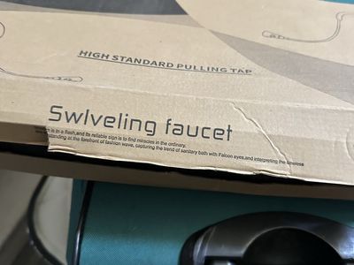 Swiveling Pull-Down Kitchen Faucet - Chrome Finish