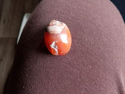 Vintage Polished Carnelian Agate Tumbled Stone Specimen