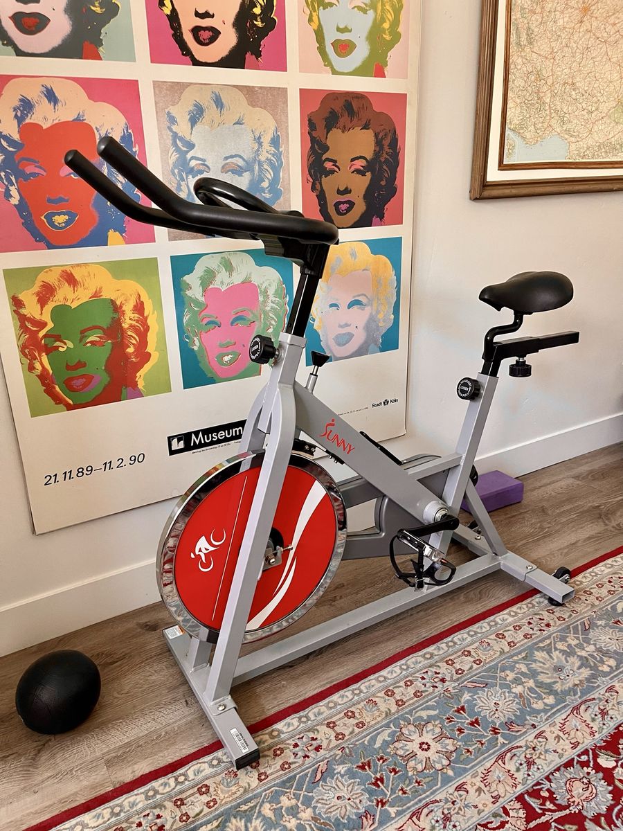Sunny Health & Fitness Indoor Cycling