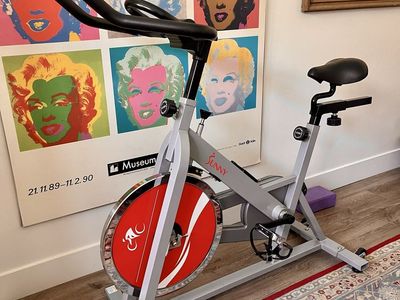 Sunny Health & Fitness Indoor Cycling