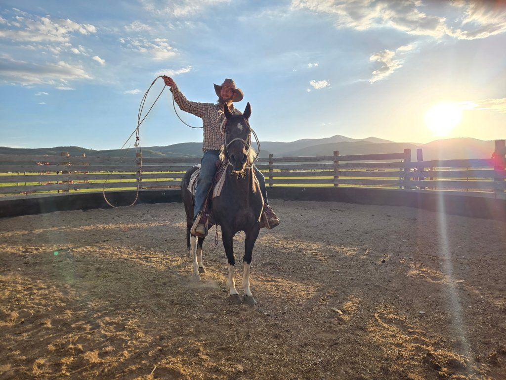 12 year old paint mare