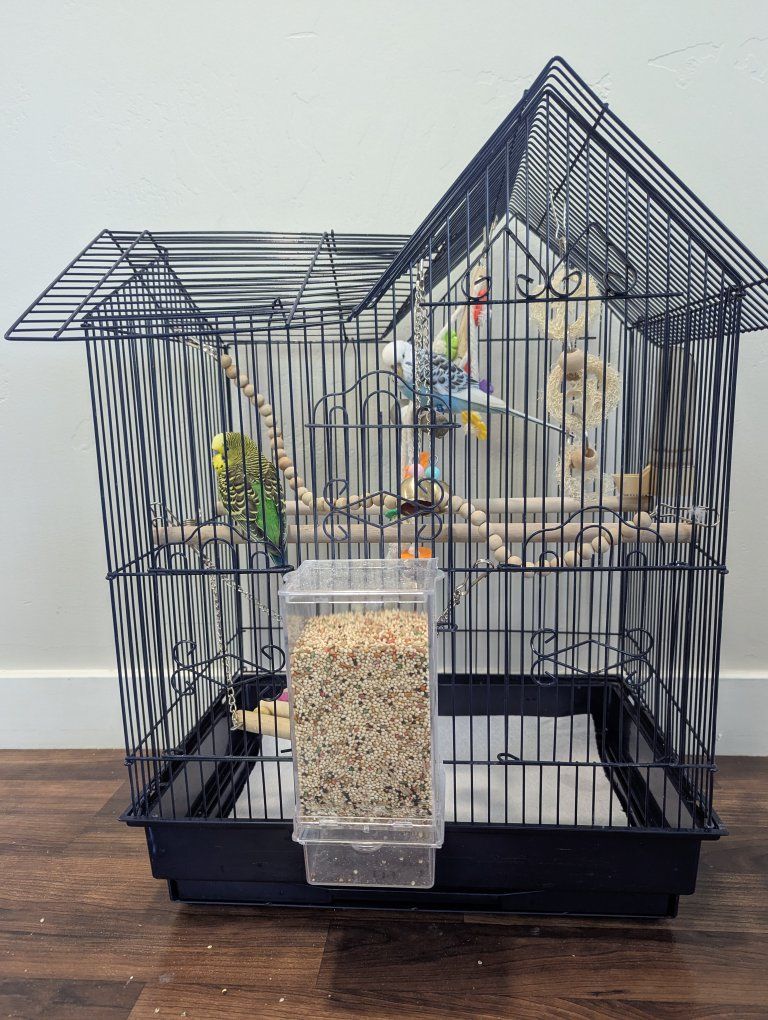 Main image 9